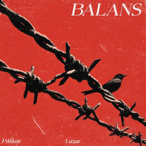 Balans by puskar, l a z a r