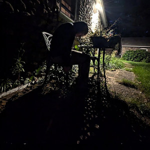 APOLOGIES FOR THE INCONVENIENCE