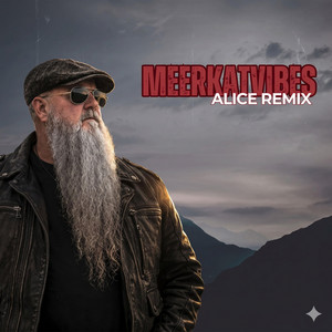 Who is Alice Special by Meerkat Vibes