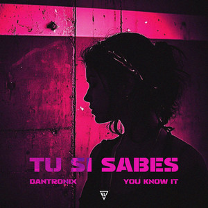 Tú Sí Sabes (You Know It) - Radio Edit by Dantronix