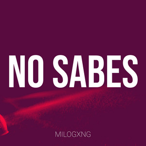 No Sabes by Milogxng