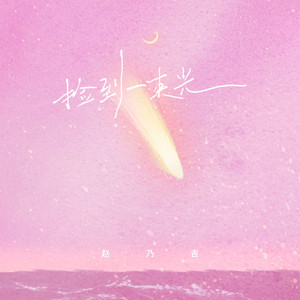 Naiji Zhao - 我也曾捡到一束光