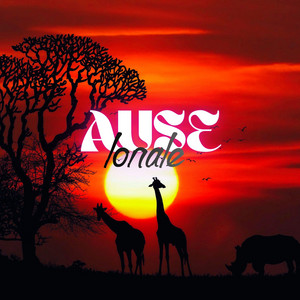Vele Bona by Ause