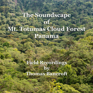 The Soundscape of Mount Totumas Cloud Forest, Panama
