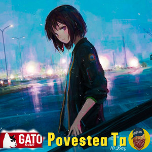 GATO - 10 Beri x Povestea Ta