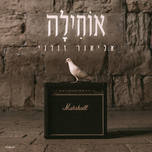 אוחילה by Elior Zandani