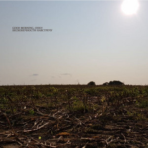 good morning, ohio! poster