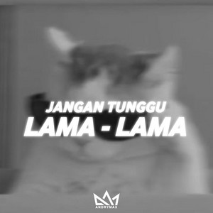 AndryMax - JANGAN TUNGGU LAMA LAMA