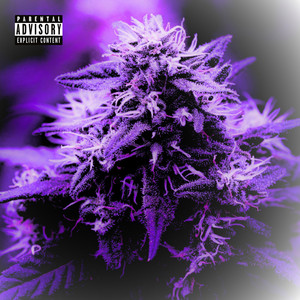 Na Ceda, Haxixe by Vorazx, SoundCriaRecords©, Maq o Mago