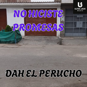 No Hiciste Promesas by DAH EL PERUCHO