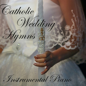 Canon in D - Harps Version by The O'Neill Brothers Group