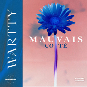 Mauvais côté