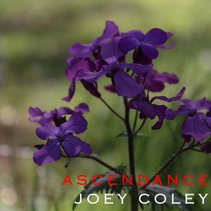 Joey Coley - Ascendance