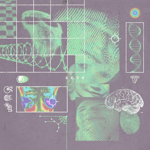 CCTV by Spirit of the Wildfire