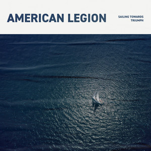 American Legion - Tree Swing