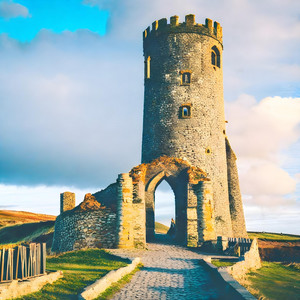 Cynefin Ystwyth nine