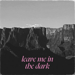Leave me in the dark by FONA