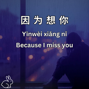 因为想你 - Because I miss you by Hopping into Languages