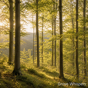 Solstice Gold by Grove Whispers