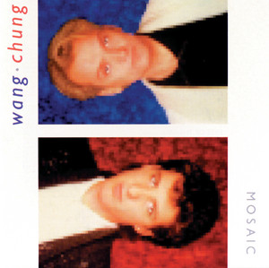 Mosaic cover