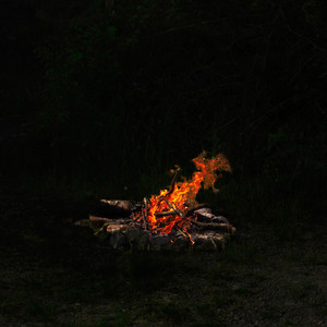 Portada de Lonely