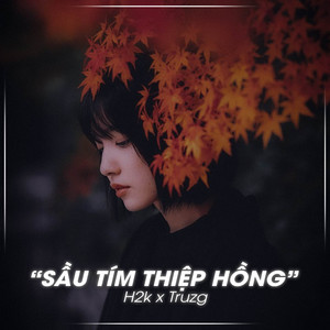 Truzg & H2K - Sầu Tím Thiệp Hồng (Lofi Ver.)