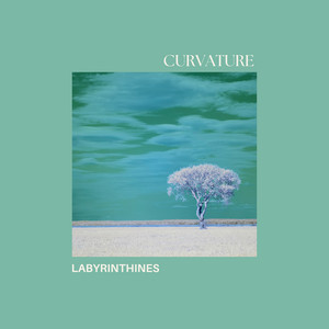 Curvature by Labyrinthines