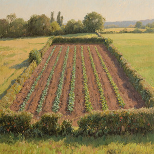 Hubert Considine - The Borrowed Acre