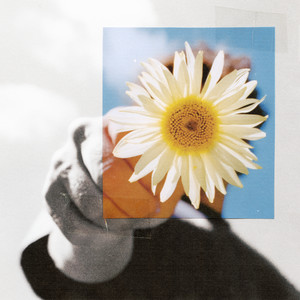 Little Miss Sunshine by Charlie Noordewier