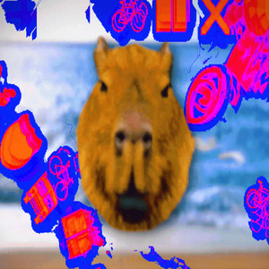 ACID by niso