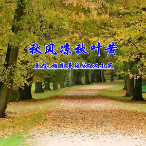 秋风凉秋叶黄 - DJJ对唱版伴奏 by 烟圈蔓延, 沁心小筑