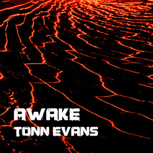 Обкладинка: Awake