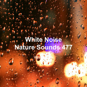 Best Rain Sound for Meditation 3