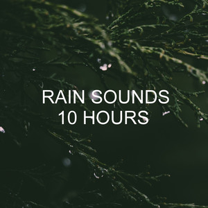 Rain Sounds 10 Hours album