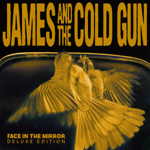 Lips Like Sugar by James and the Cold Gun