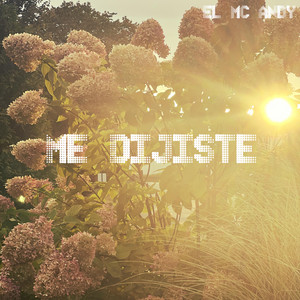Me Dijiste
