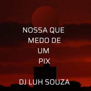 Dj Luh Souza - Nossa Que Medo de um Pix