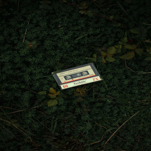 SUNFLOWER FIELDS FULL OF LOST TEENS by ZED GALLOWS