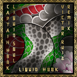 Liquid Hook (Victor Ruiz Remix) cover art