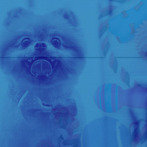 Bossa Nova (Music for Doggy Wellness) album