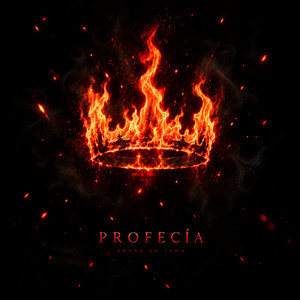 PROFECÍA by Estylus L3