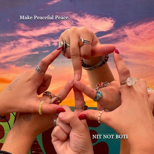 NIT NOT BOTI - Make Peaceful Peace