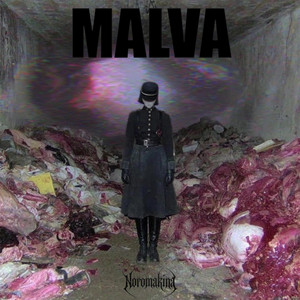 MALVA by Noromakina