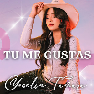 Tu Me Gustas by Yoselin Tamara