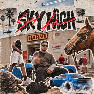 Sky High by Harvi, Desi Trap Music