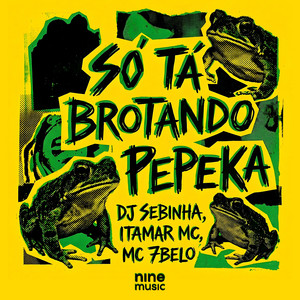 SO TA BROTANDO PEPEKA (feat. MC 7 Belo)