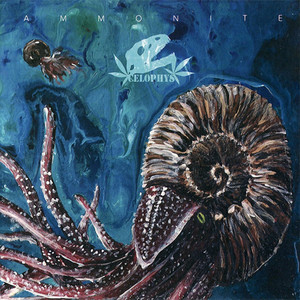 Celophys — Ammonite