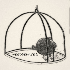 мс перформанс - BOJACK HORSEMAN!