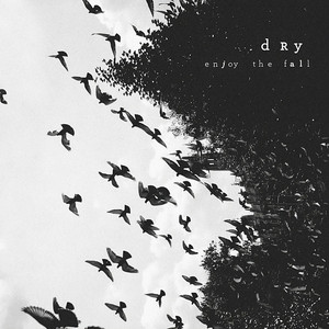 Gasoline by Dry