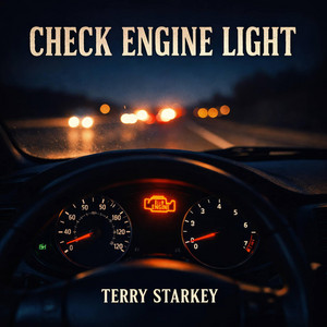 Check Engine Light by Terry Starkey